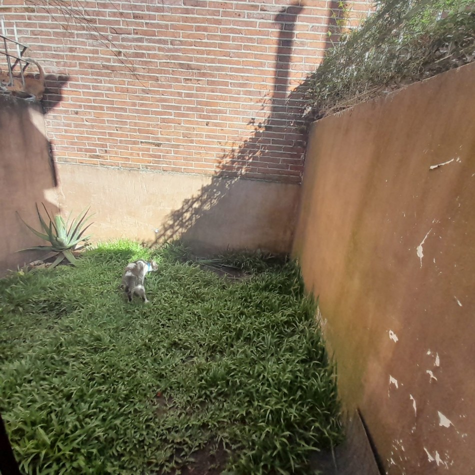 Triplex de 4 amb, con cochera y patio